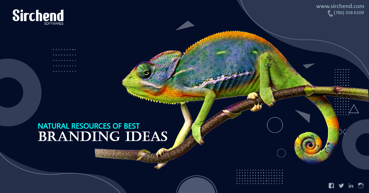 Business Branding